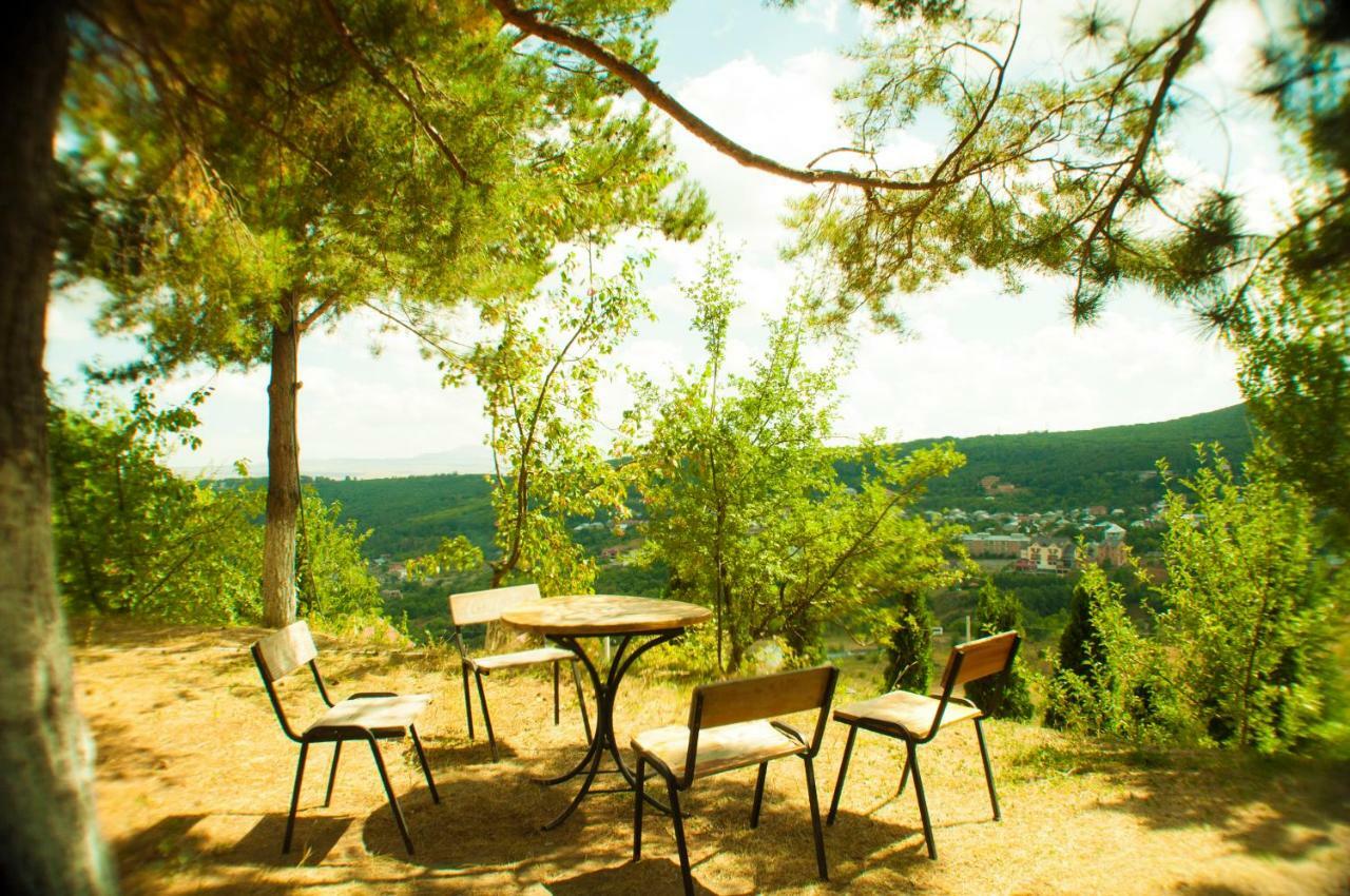 Vosku Ashxarh Hotel Tsaghkadzor Luaran gambar