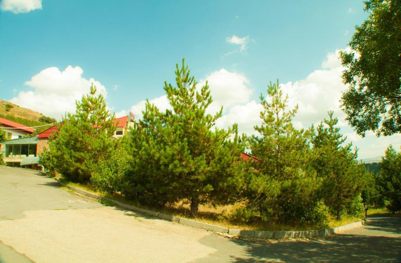 Vosku Ashxarh Hotel Tsaghkadzor Luaran gambar